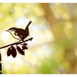 Troglodyte Mignon - Metalbird