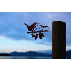 Troglodyte Mignon et ses oisillons - Metalbird