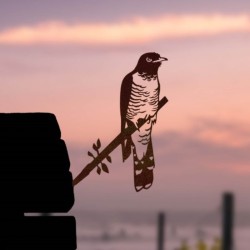 Coucou gris - Metalbird Coucou gris - Metalbird