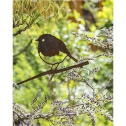 Rouge-gorge - Metalbird