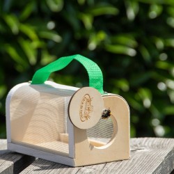 Boîte d'observation d'insectes en bois
