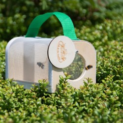 Boîte d'observation d'insectes en bois