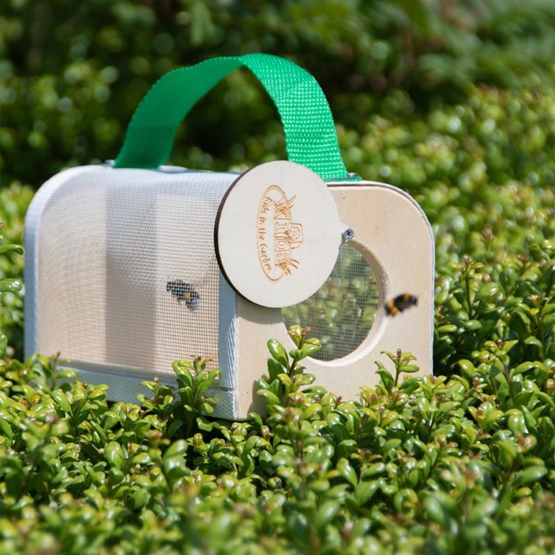 Boîte d'observation d'insectes en bois