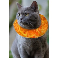 Collerette Birdsbesafe Batik Collerette Birdsbesafe Batik