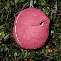 Nichoir pour Troglodyte - Schwegler (1ZA - 200/6 et 201/3)