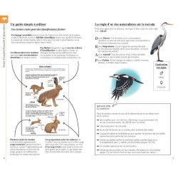 Reconnaître facilement les animaux