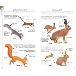 Reconnaître facilement les animaux