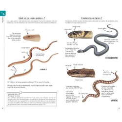 Reconnaître facilement les animaux