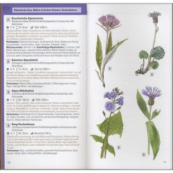 Les plantes de montagne par la couleur Les plantes de montagne par la couleur