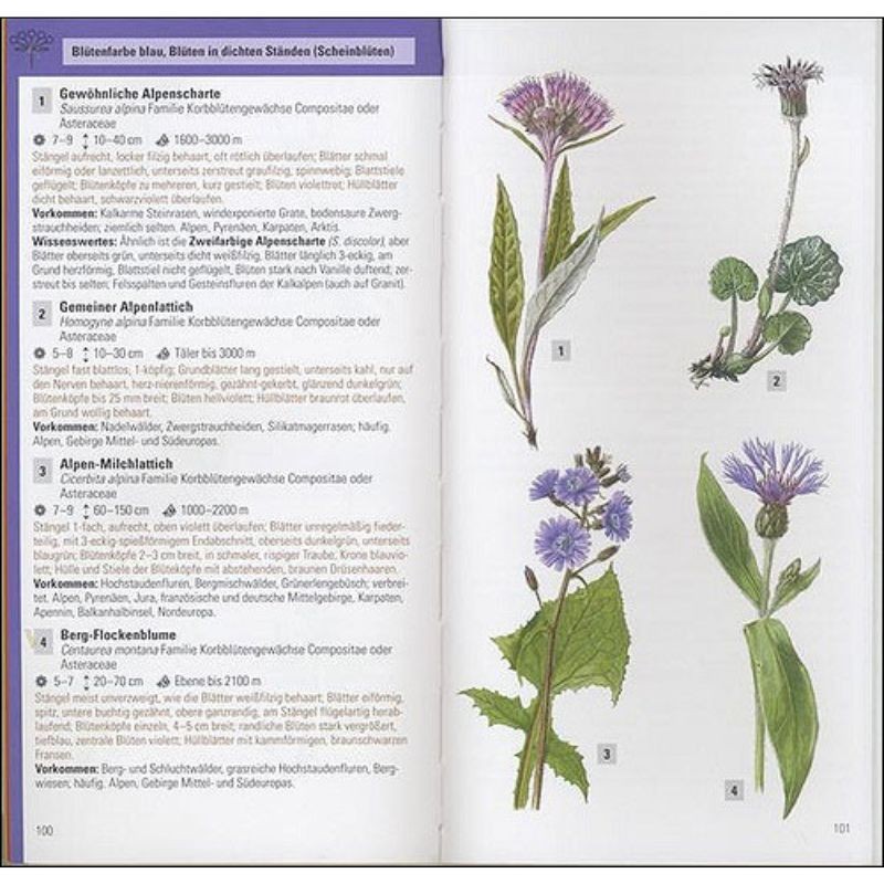 Les plantes de montagne par la couleur Les plantes de montagne par la couleur