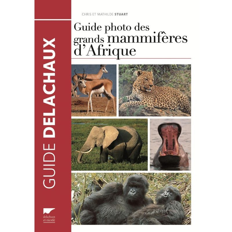 Guide photo des grands mammifères d'Afrique