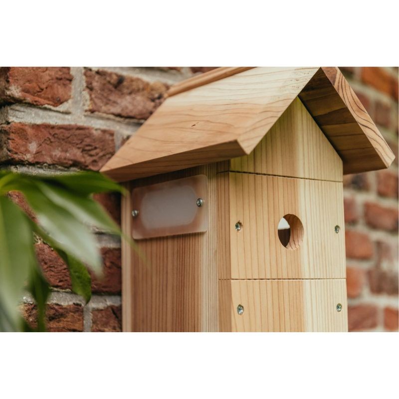 Nichoir avec caméra Wifi "Bird Box" + Panneau solaire - Cèdre rouge Nichoir avec caméra Wifi "Bird Box" + Panneau solaire - Cèdre rouge