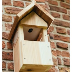 Nichoir avec caméra Wifi "Bird Box" + Panneau solaire - Cèdre rouge Nichoir avec caméra Wifi "Bird Box" + Panneau solaire - Cèdre rouge