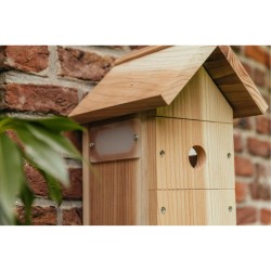 Nichoir avec caméra Wifi "Bird Box" - Cèdre rouge