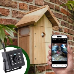 Nichoir avec caméra Wifi "Bird Box" - Cèdre rouge