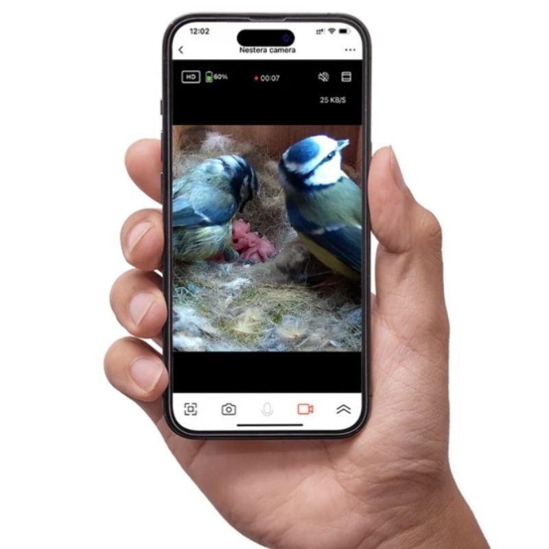 Nichoir avec caméra Wifi "Bird Box" - Cèdre rouge