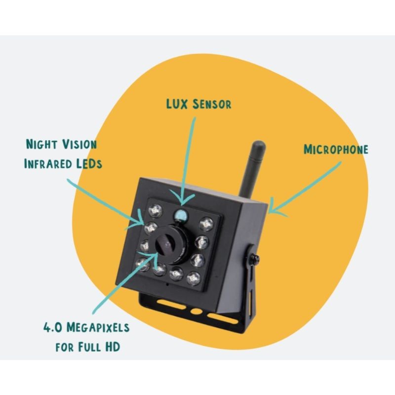 Nichoir avec caméra Wifi "Bird Box" - Cèdre rouge