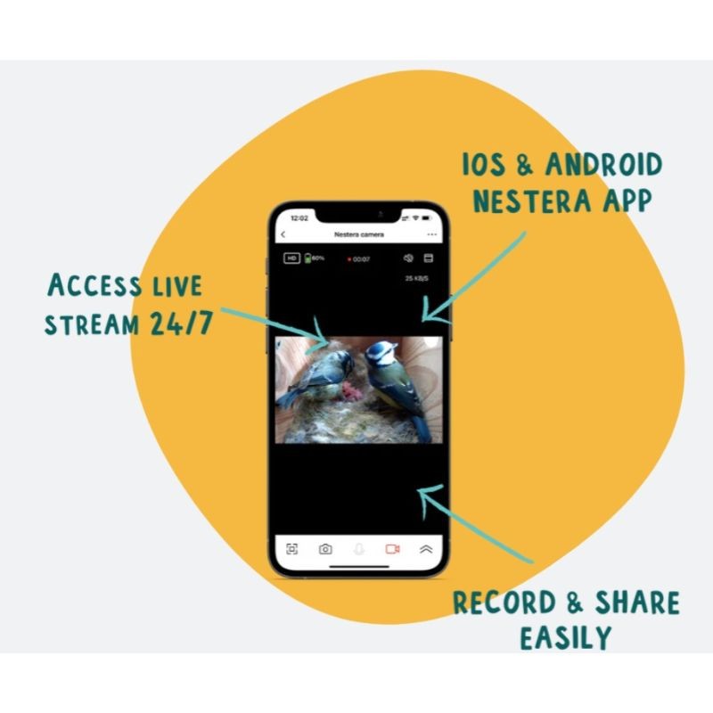 Nichoir avec caméra Wifi "Bird Box" - Cèdre rouge