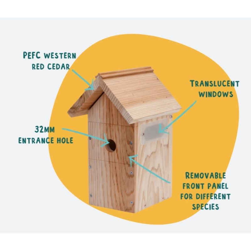 Nichoir avec caméra Wifi "Bird Box" - Cèdre rouge