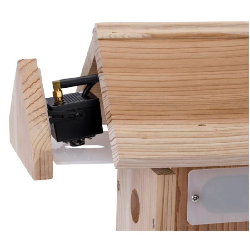 Nichoir avec caméra Wifi "Bird Box" - Cèdre rouge