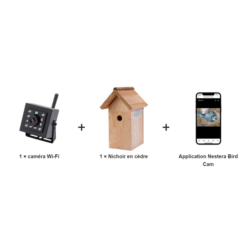 Nichoir avec caméra Wifi "Bird Box" - Cèdre rouge