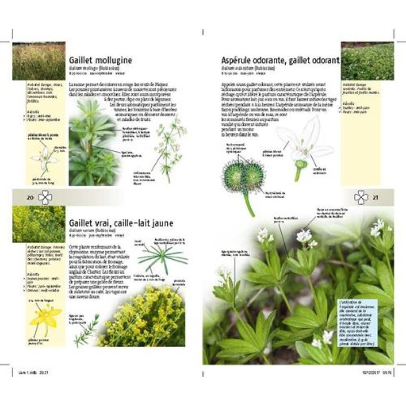 300 plantes comestibles 300 plantes comestibles