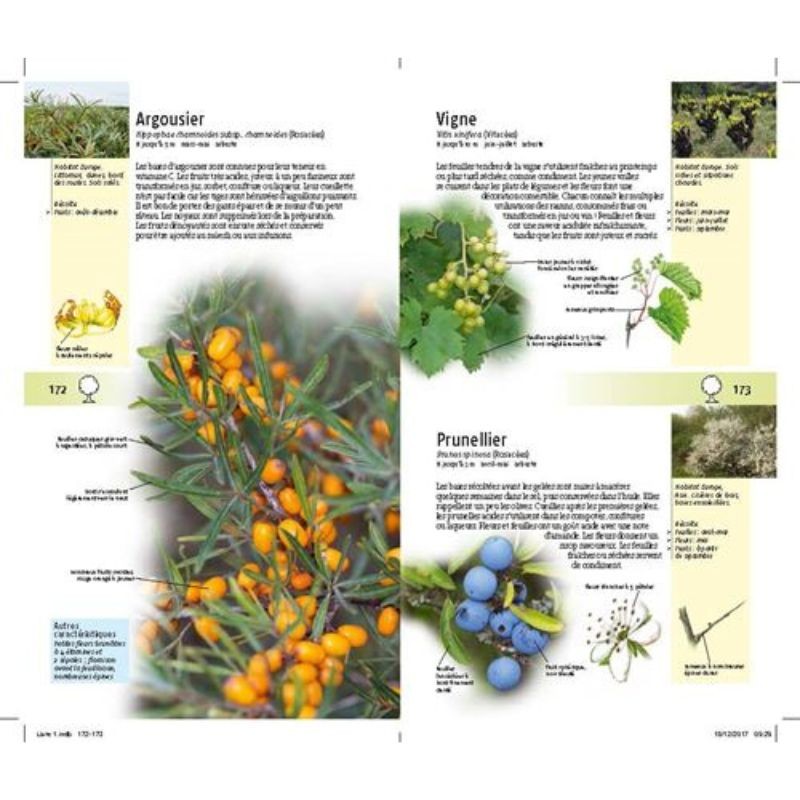 300 plantes comestibles 300 plantes comestibles