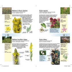 300 plantes comestibles 300 plantes comestibles
