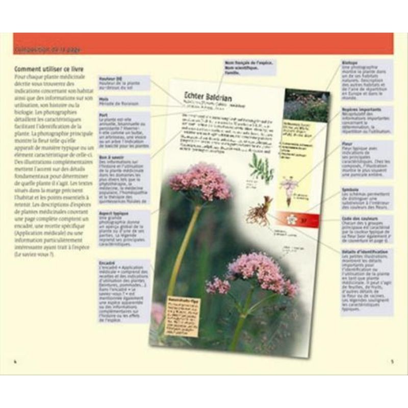 350 plantes médicinales