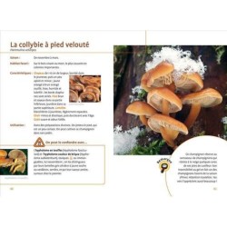 Aller aux champignons - Reconnaître, cueillir, cuisiner Aller aux champignons - Reconnaître, cueillir, cuisiner