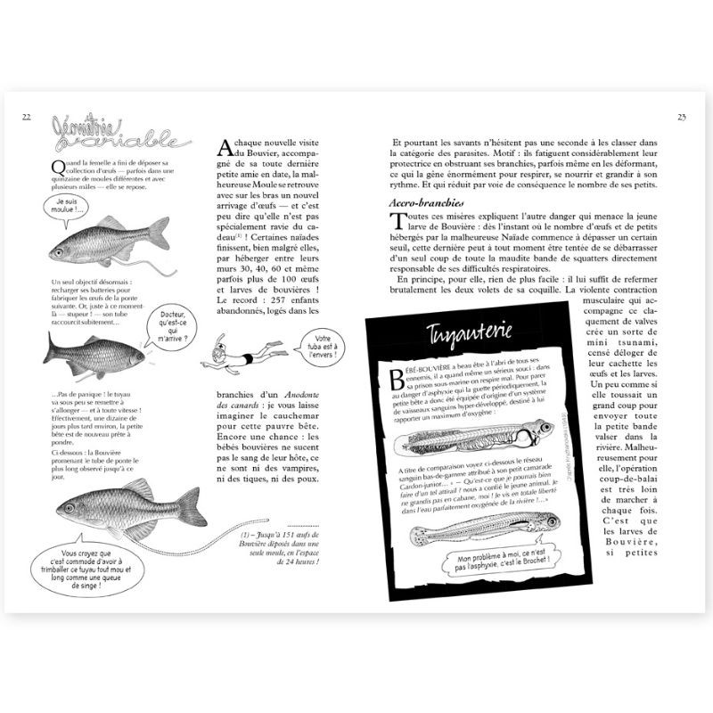 La Hulotte N°114 : le Petit Seigneur des Naïades (bouvière)