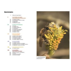 Découvrir les abeilles sauvages Découvrir les abeilles sauvages