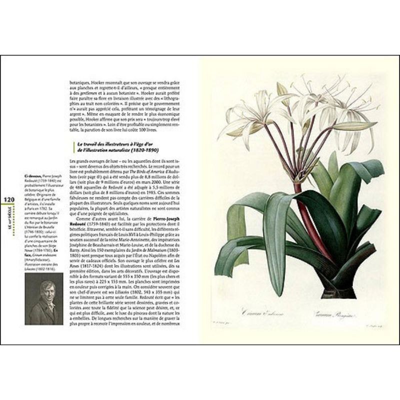 Histoire de l'illustration naturaliste - Des gravures de la Renaissance aux films d'aujourd'hui