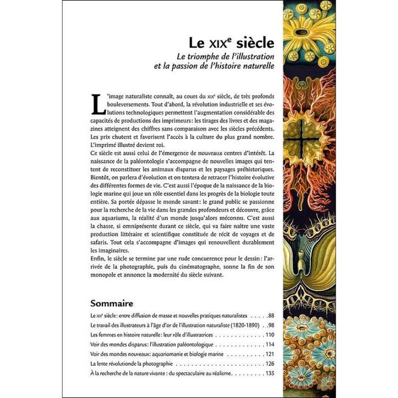 Histoire de l'illustration naturaliste - Des gravures de la Renaissance aux films d'aujourd'hui