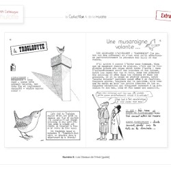 La Hulotte N°8 : Spécial Les oiseaux de l'hiver [guide]