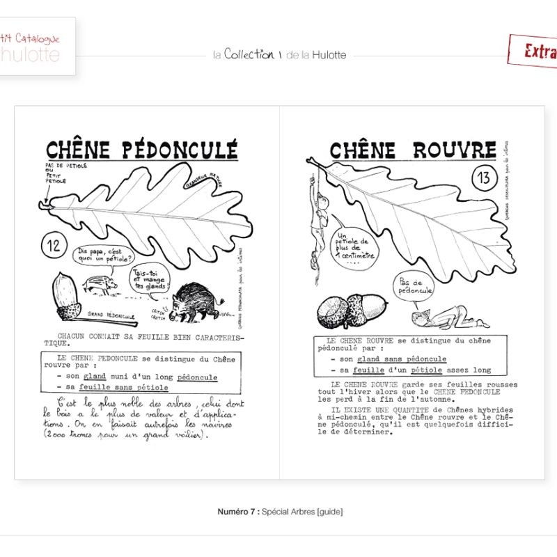 La Hulotte N°7 : Spécial arbres - Guide des 40 arbres les plus courants des Ardennes