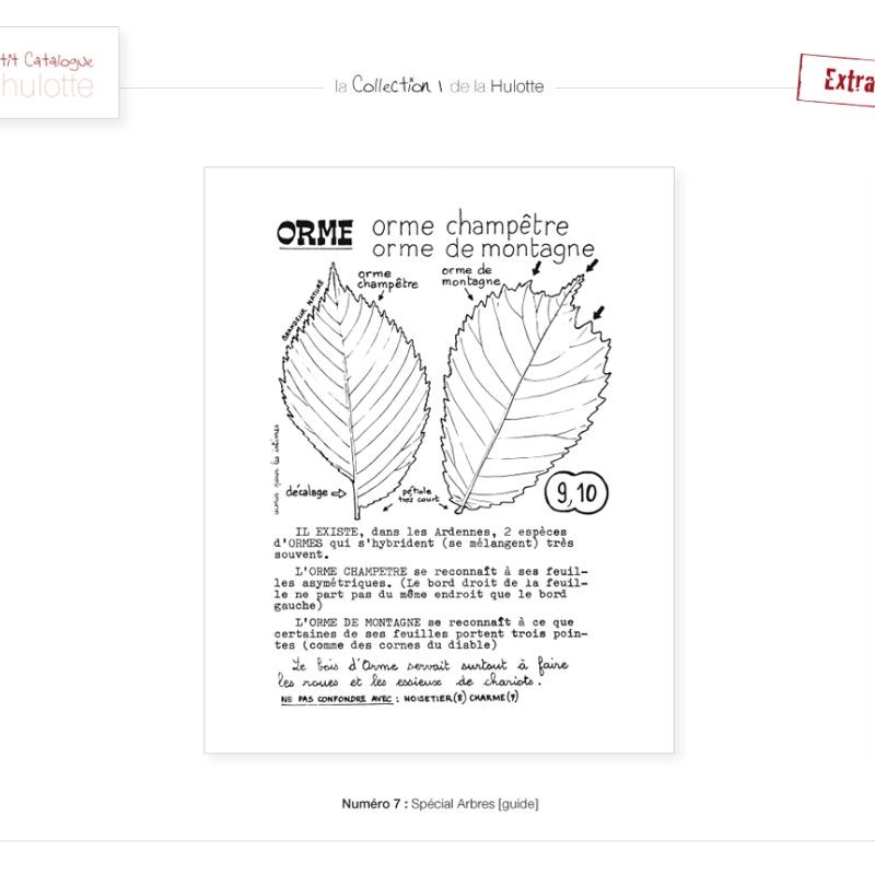 La Hulotte N°7 : Spécial arbres - Guide des 40 arbres les plus courants des Ardennes