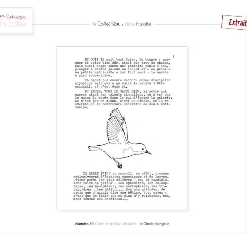 La Hulotte N°10 : Dossier spécial nichoirs - le Cincle plongeur