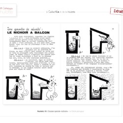 La Hulotte N°10 : Dossier spécial nichoirs - le Cincle plongeur
