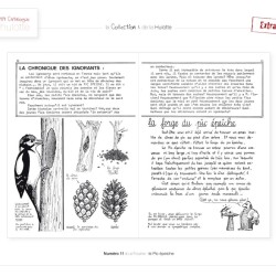 La Hulotte N°11 : La Fouine - le Pic épeiche La Hulotte N°11 : La Fouine - le Pic épeiche