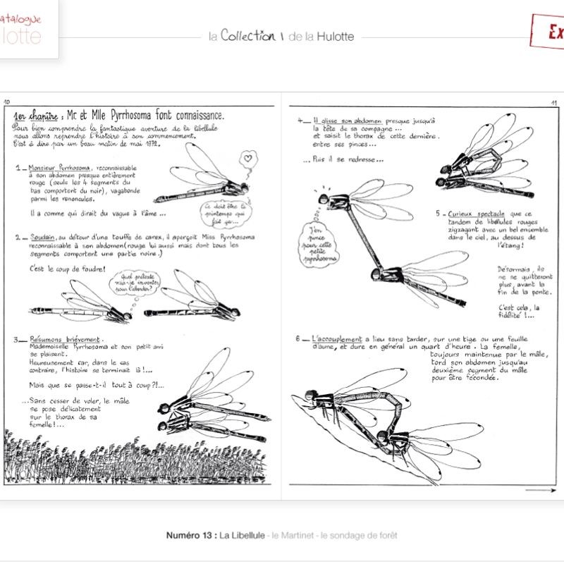 La Hulotte N°13 : La Libellule - Le Martinet - Le sondage de forêt