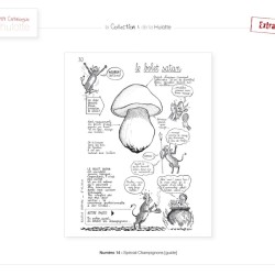 La Hulotte N°14 : Spécial Champignons [guide]