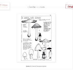 La Hulotte N°14 : Spécial Champignons [guide]