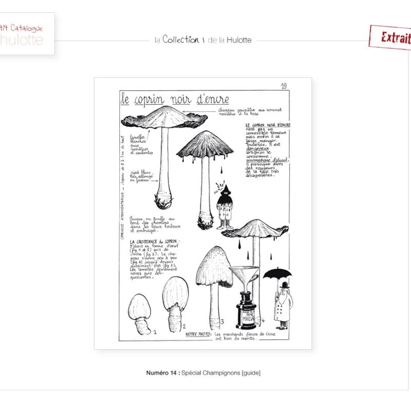 La Hulotte N°14 : Spécial Champignons [guide]