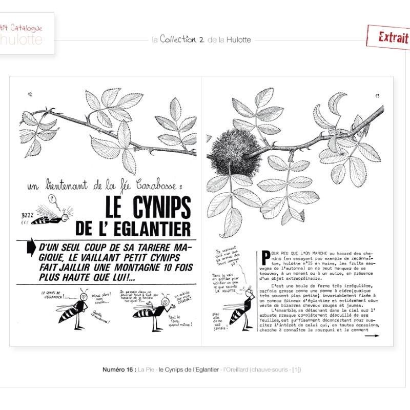 La Hulotte N°16 : La Pie - Le Cynips de l'Eglantier - L'Oreillard (chauve souris [1])
