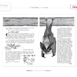 La Hulotte N°17 : Le Hibou moyen-duc - L'Oreillard [2]