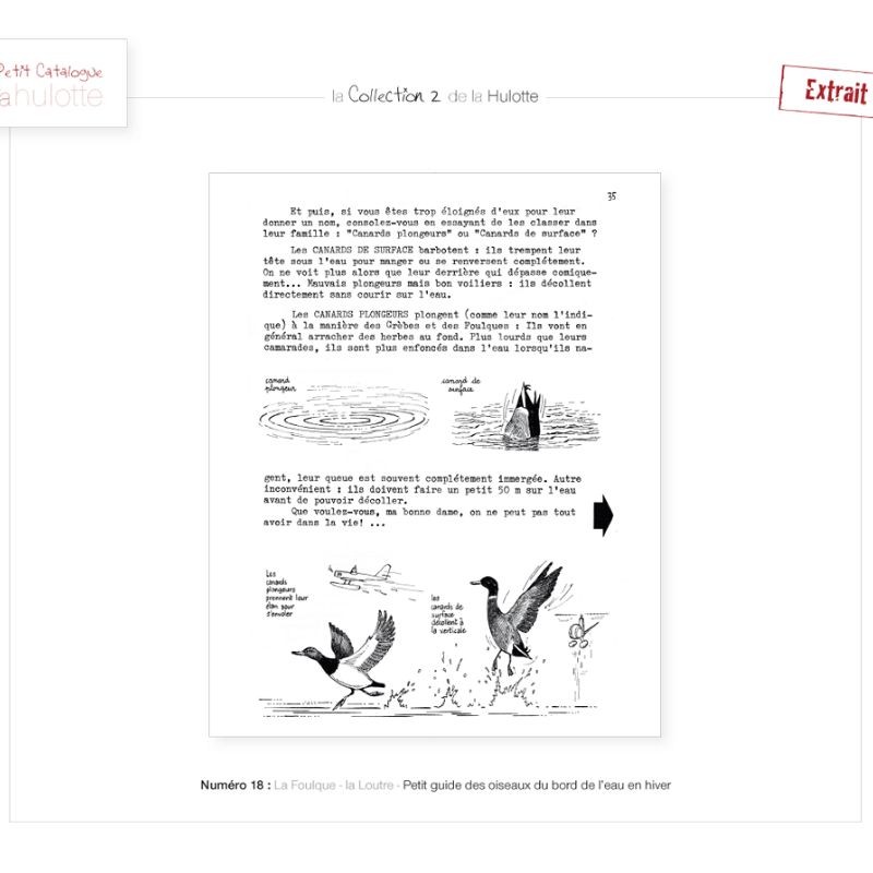 La Hulotte N°18 : La Foulque - La Loutre - Petit guide des oiseaux du bord de l'eau en hiver