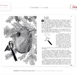 La Hulotte N°19 : La Mésange à longue queue - la Chrysope - Le procès des ramasseurs de grenouilles