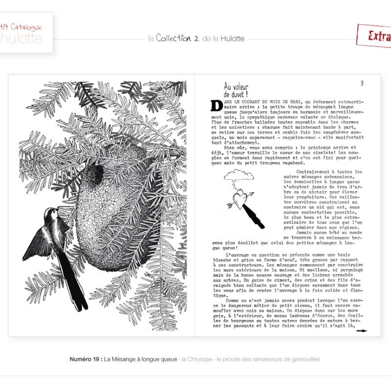 La Hulotte N°19 : La Mésange à longue queue - la Chrysope - Le procès des ramasseurs de grenouilles