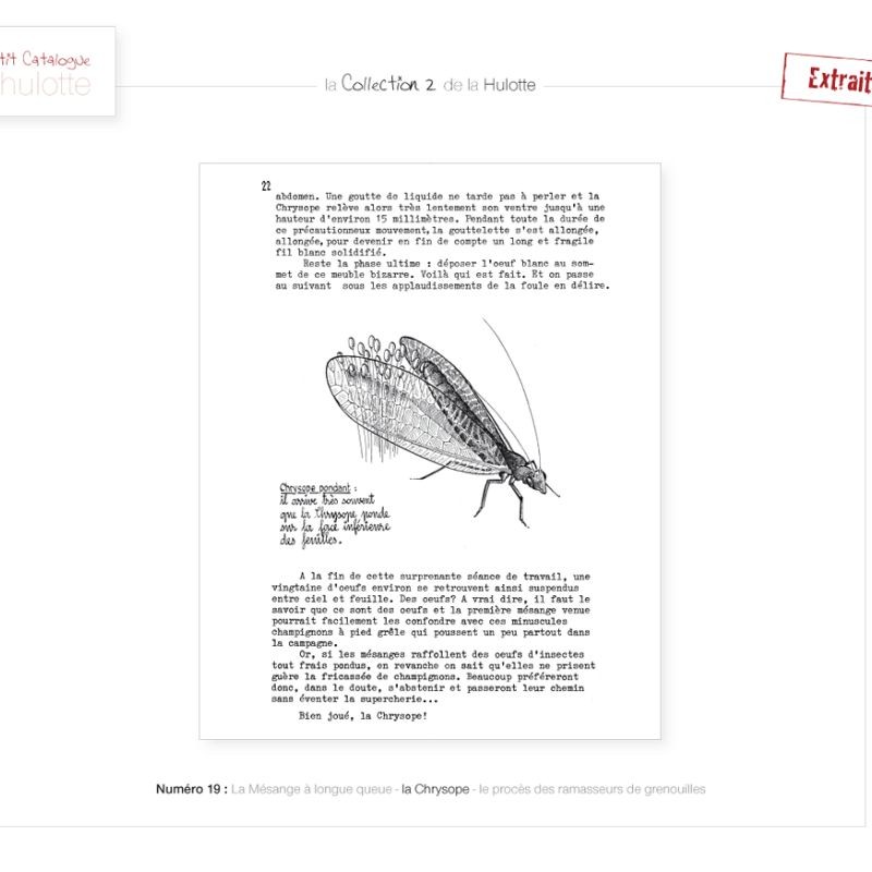 La Hulotte N°19 : La Mésange à longue queue - la Chrysope - Le procès des ramasseurs de grenouilles